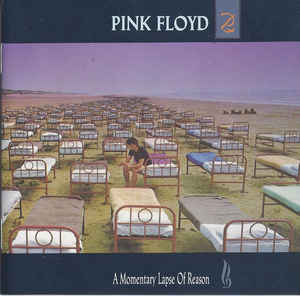 A Momentary Lapse of Reason