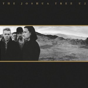 The joshua tree